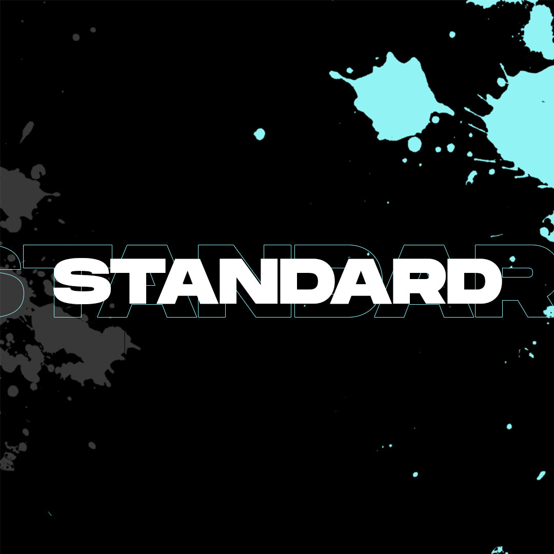 TRAININGSPLAN | STANDARD PAKET | LEVEL UP